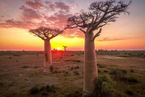 5 Countries Nigerians can visit without visa