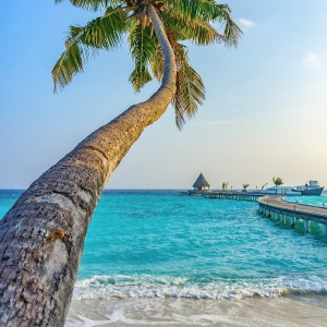 5 countries Nigerians can visit without visa