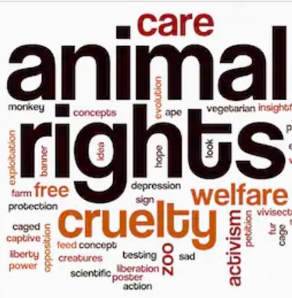 Lagos State House of Assembly Conducts Public Hearing on Animals’ Bill