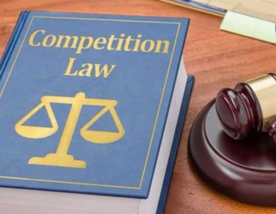 BUA Group vs. Dangote Group Debacle: Competition Law and Limits of Price Fixing