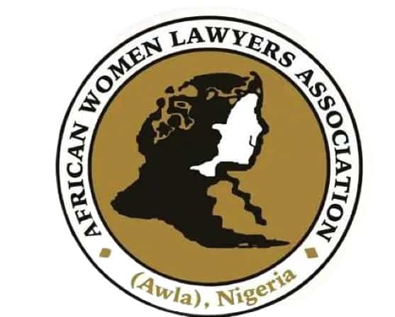 AWLA Ogun State Rescues Physically Abused 5 Year Old Girl from ‘Employer’
